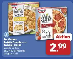 Combi Dr. oetker la mia grande Angebot