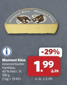 Combi Mammut käse österreichischer hartkäse Angebot