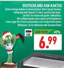 Marktkauf Deutschland-fan-kaktus Angebot