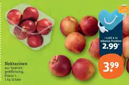 tegut Nektarinen Angebot