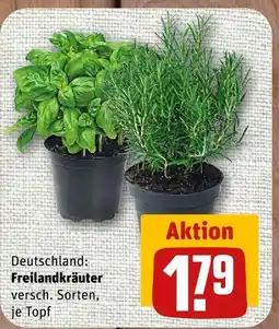 nahkauf Freilandkräuter Angebot