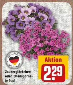 nahkauf Zauberglöckchen Angebot