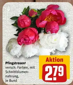 nahkauf Pfingstrosen Angebot