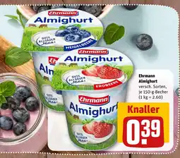 nahkauf Ehrmann almighurt heidelbeere Angebot