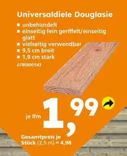 Globus Baumarkt Universaldiele douglasie Angebot