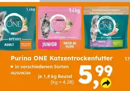 Globus Baumarkt Purina one adult Angebot