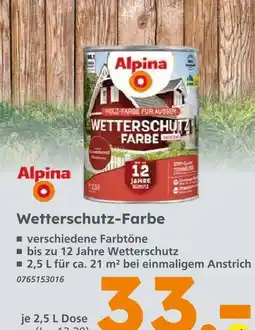 Globus Baumarkt Alpina wetterschutz-farbe Angebot