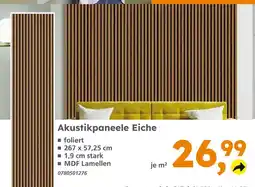 Globus Baumarkt Akustikpaneele eiche Angebot