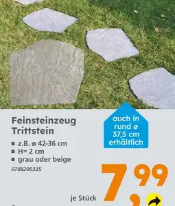 Globus Baumarkt Feinsteinzeug trittstein Angebot