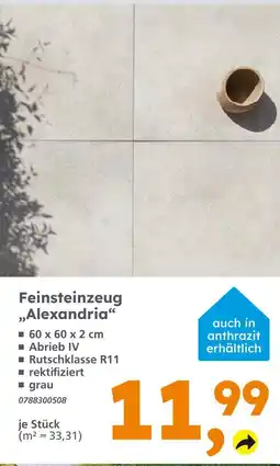 Globus Baumarkt Feinsteinzeug alexandria Angebot