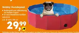 Globus Baumarkt Nobby hundepool Angebot