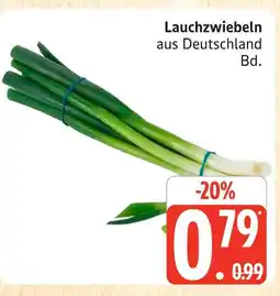 Marktkauf Lauchzwiebeln Angebot