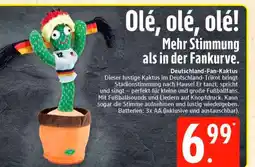 Marktkauf Deutschland-fan-kaktus Angebot
