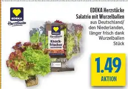 diska Edeka herzstücke salatrio mit wurzelballen Angebot