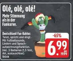 E-Center Deutschland-fan-kaktus Angebot
