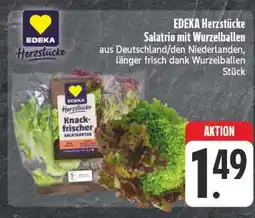 E-Center Edeka herzstücke salatrio mit wurzelballen Angebot