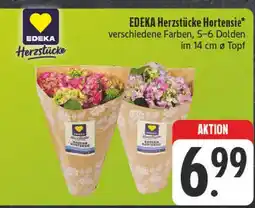 E-Center Edeka herzstücke hortensie Angebot