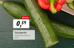 KONSUM Salatgurke Angebot