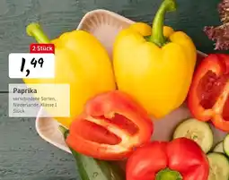 KONSUM Paprika Angebot
