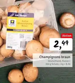 KONSUM Champignons braun Angebot