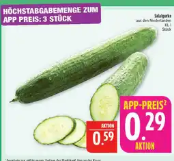 Marktkauf Salatgurke Angebot
