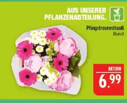 Marktkauf Pfingstrosenstrauß Angebot