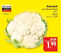 Marktkauf Blumenkohl Angebot