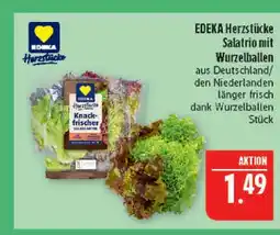 Marktkauf Edeka herzstücke salatrio mit wurzelballen Angebot