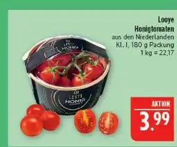 Marktkauf Looye honigtomaten Angebot