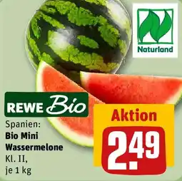 REWE REWE Bio Mini Wassermelone Angebot