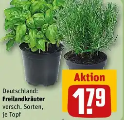 REWE Freilandkräuter Angebot