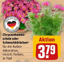 REWE Chrysanthemen- schale oder Schmuckkörbchen Angebot