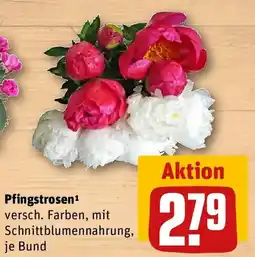 REWE Pfingstrosen Angebot