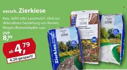 Sonderpreis Baumarkt versch. Zierkiese Angebot
