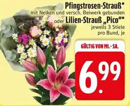 Edeka Pfingstrosen-Strauß oder Lilien-Strauß„Pico" Angebot