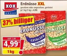 Norma XOX Erdnüsse XXL Angebot