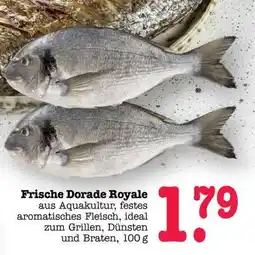 Scheck-in-Center Frische Dorade Royale Angebot