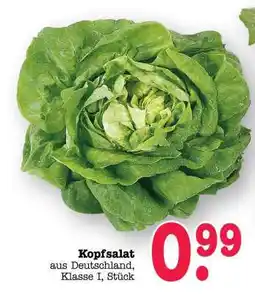 Scheck-in-Center Kopfsalat Angebot
