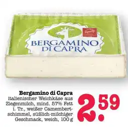 Scheck-in-Center Bergamino di Capra Angebot