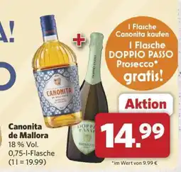 Combi Canonita de Mallorca Angebot