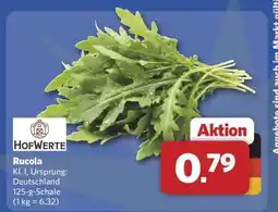 Combi Rucola Angebot