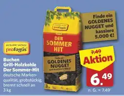 Combi Buchen Grill-Holzkohle Der Sommer-Hit Angebot