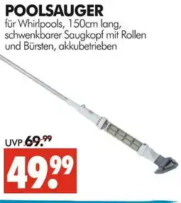 Wreesmann Poolsauger Angebot