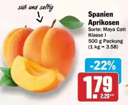 HIT Spanien Aprikosen Angebot