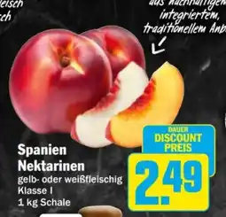HIT Spanien Nektarinen Angebot