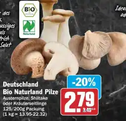 HIT Deutschland Bio Naturland Pilze Angebot