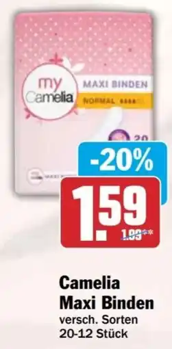 HIT Camelia Maxi Binden Angebot