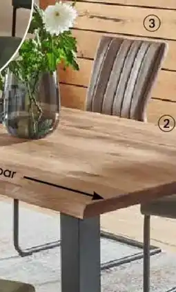 Möbel Martin MONDO Schwingstuhl Angebot