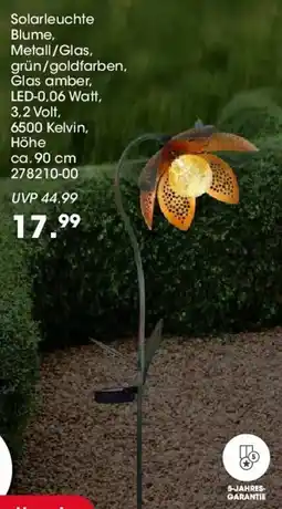Möbel Martin Solarleuchte Blume Angebot
