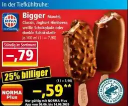 Norma RIVA Bigger Mandel Angebot